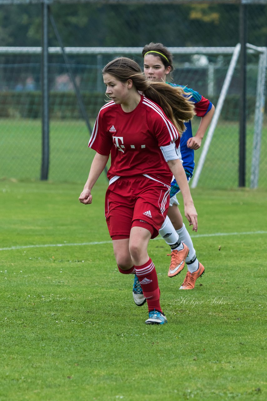 Bild 229 - B-Juniorinnen SV Henstedt Ulzburg - SV Wahlstedt : Ergebnis: 11:0